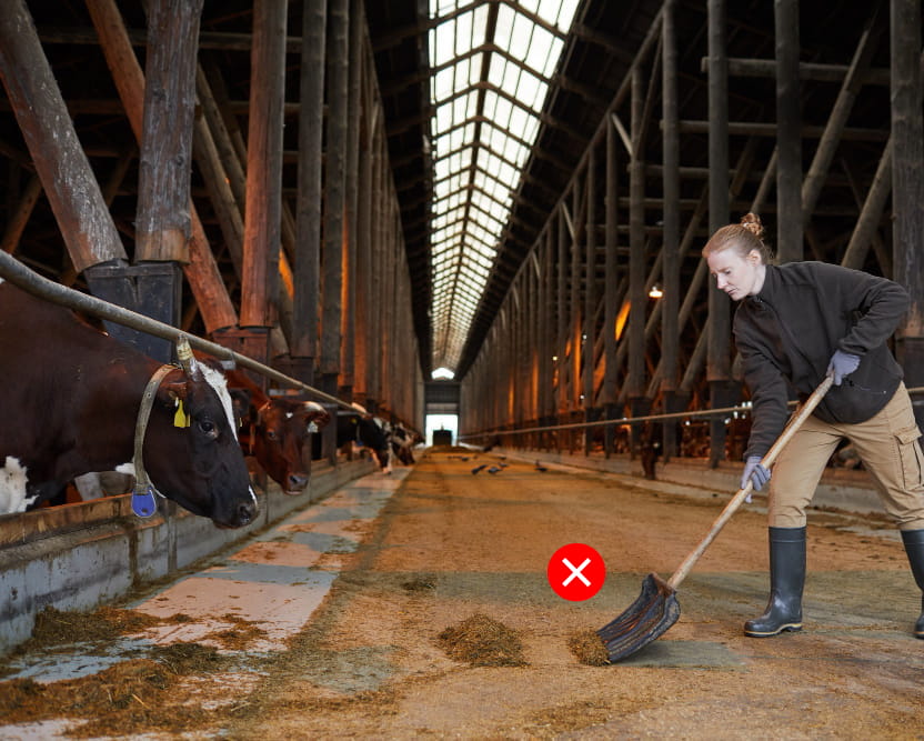 Osoba, ktorá neefektívne upratuje maštaľ.